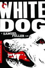 Watch White Dog Letmewatchthis