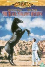 Watch The Black Stallion Returns Letmewatchthis