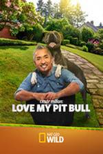 Watch Cesar Millan: Love My Pit Bull Letmewatchthis