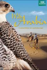 Watch Wild Arabia Letmewatchthis
