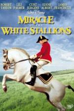 Watch Miracle of the White Stallions Letmewatchthis