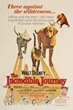 Watch The Incredible Journey Letmewatchthis