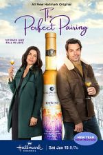 Watch The Perfect Pairing Letmewatchthis