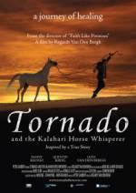 Watch Tornado and the Kalahari Horse Whisperer Letmewatchthis