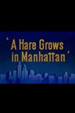 Watch A Hare Grows in Manhattan Letmewatchthis