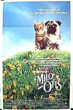 Watch Milo & Otis Letmewatchthis