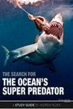 Watch The Search for the Oceans Super Predator Letmewatchthis