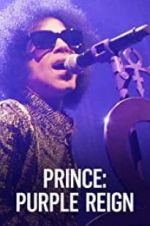 Watch Prince: A Purple Reign Letmewatchthis
