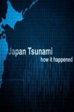 Watch Japan Tsunami: How It Happened Letmewatchthis