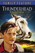 Watch Thunderhead - Son of Flicka Letmewatchthis