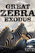 Watch Nature: Great Zebra Exodus Letmewatchthis