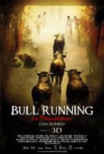 Watch Encierro 3D: Bull Running in Pamplona Letmewatchthis