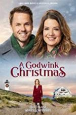 Watch A Godwink Christmas Letmewatchthis