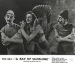 Watch A Ray of Sunshine: An Irresponsible Medley of Song and Dance Letmewatchthis