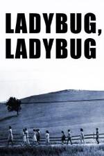 Watch Ladybug Ladybug Letmewatchthis