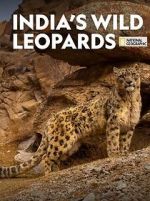 Watch India\'s Wild Leopards (Short 2020) Letmewatchthis