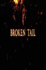 Watch A Tiger Called Broken Tail Letmewatchthis