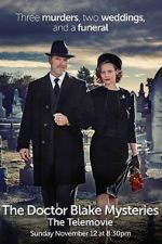 Watch The Doctor Blake Mysteries: Family Portrait Letmewatchthis