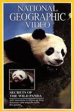 Watch Secrets of the Wild Panda Letmewatchthis