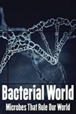 Watch Bacterial World Letmewatchthis