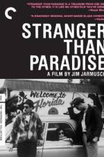 Watch Stranger Than Paradise Letmewatchthis