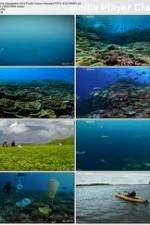 Watch National Geographic: Pacific Ocean Paradise Letmewatchthis
