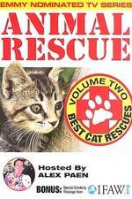 Watch Animal Rescue, Volume 2: Best Cat Rescues Letmewatchthis