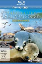 Watch Faszination Galapagos Letmewatchthis