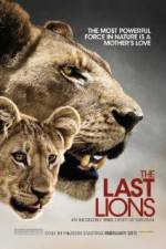 Watch The Last Lions Letmewatchthis