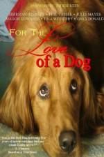 Watch For the Love of a Dog Letmewatchthis