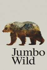 Watch Jumbo Wild Letmewatchthis