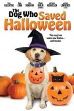 Watch The Dog Who Saved Halloween Letmewatchthis