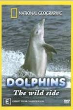 Watch Dolphins: The Wild Side Letmewatchthis