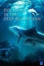 Watch Dolphins in the Deep Blue Ocean Letmewatchthis