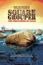 Watch Square Grouper Letmewatchthis