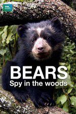 Watch Bears: Spy in the Woods Letmewatchthis