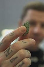 Watch Professor Green: Is It Time to Legalise Weed? Letmewatchthis