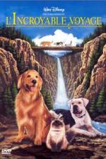 Watch Homeward Bound: The Incredible Journey Letmewatchthis