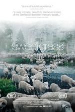 Watch Sweetgrass Letmewatchthis