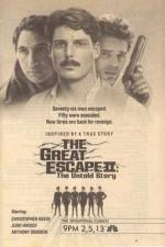 Watch The Great Escape II: The Untold Story Letmewatchthis