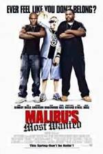 Watch Malibu's Most Wanted Letmewatchthis