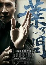 Watch Ip Man 3 Letmewatchthis
