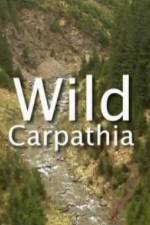 Watch Wild Carpathia Letmewatchthis