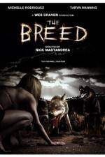 Watch The Breed Letmewatchthis