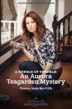 Watch A Bundle of Trouble: An Aurora Teagarden Mystery Letmewatchthis