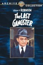 Watch The Last Gangster Letmewatchthis