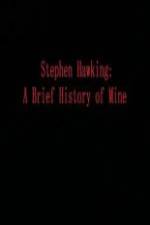 Watch Stephen Hawking A Brief History of Mine Letmewatchthis