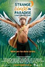 Watch Strange Birds in Paradise A West Papuan Story Letmewatchthis