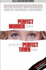 Watch Perfect Murder Perfect Town JonBenet and the City of Boulder Letmewatchthis