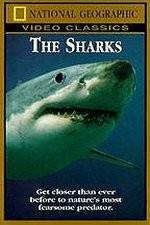 Watch National Geographic The Sharks Letmewatchthis
